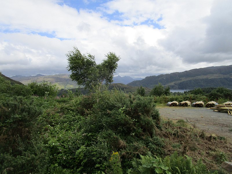 2018.07.16 ab in den Sueden Schottlands (2864).JPG